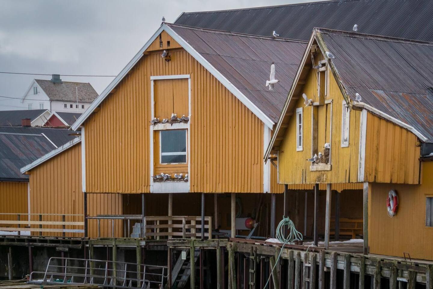 Explorers Cabin Lofoten Edge Сьорвоген Екстер'єр фото